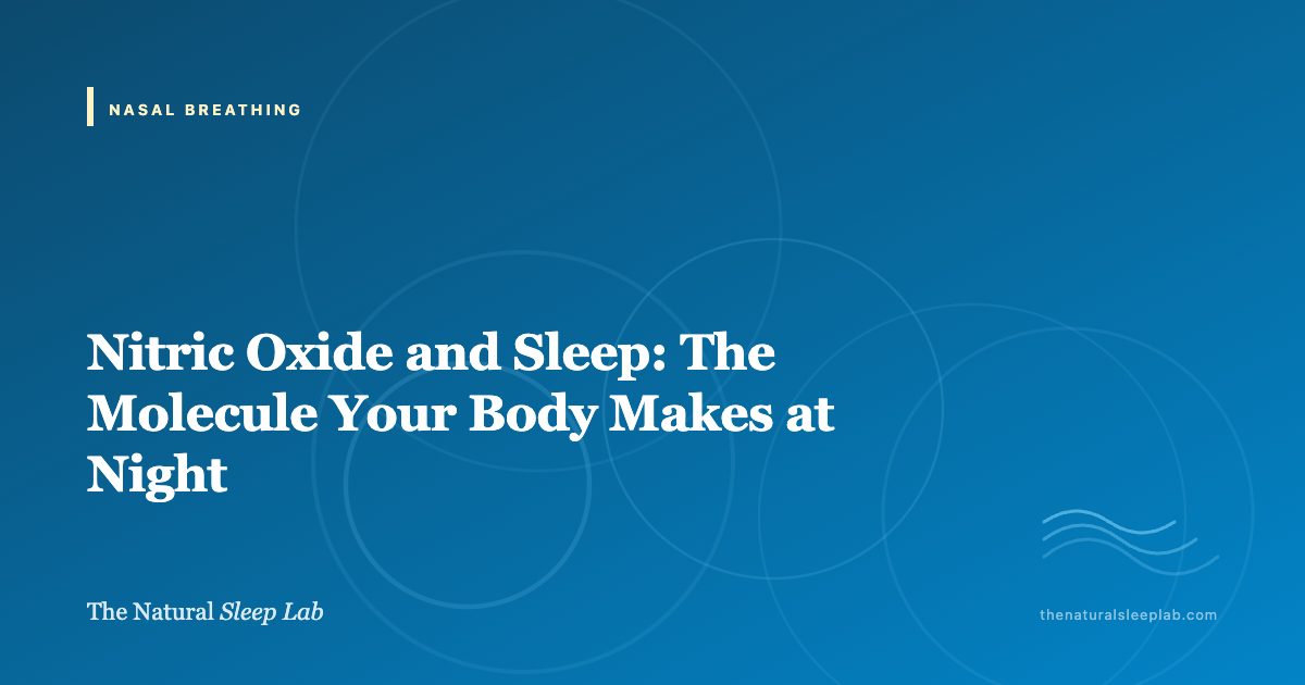 Nitric Oxide and Sleep: The Molecule Your Nose Makes That Your Mouth Cannot Make — The Natural Sleep Lab illustrated guide